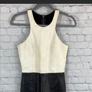 Mason Color Block Lambskin Dress